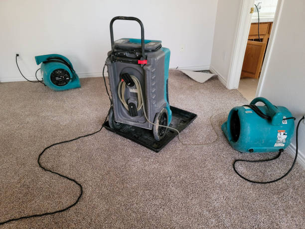 Water damage restoration experts in IA