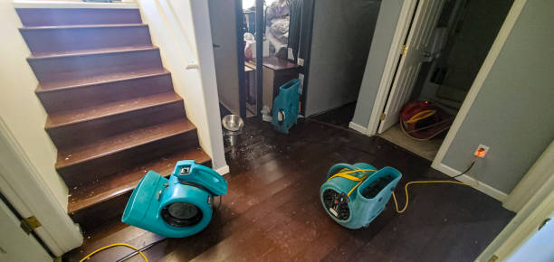 Best 24/7 water damage repair  in Knoxville, IA
