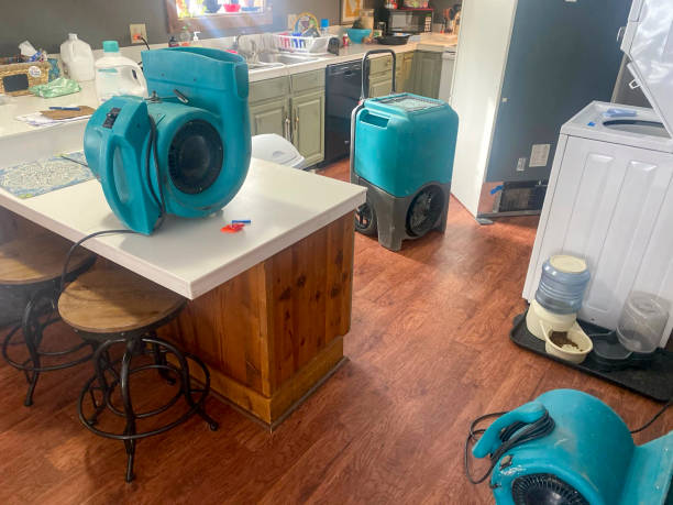 Best Carpet water damage restoration  in Knoxville, IA