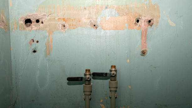 Best Water damage restoration near me  in Knoxville, IA