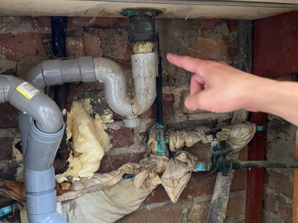 Best Ceiling water damage repair  in Knoxville, IA
