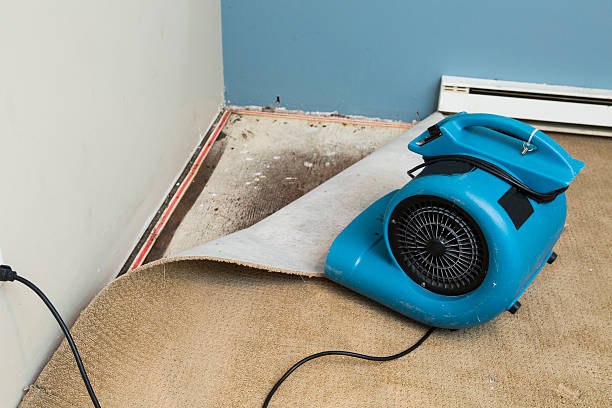 Best Water damage restoration experts  in Knoxville, IA